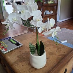 22x6 Artificial Orchid 