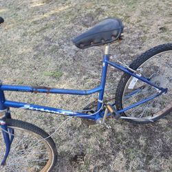 Old School Bike Cruiser Needs Tune up 
