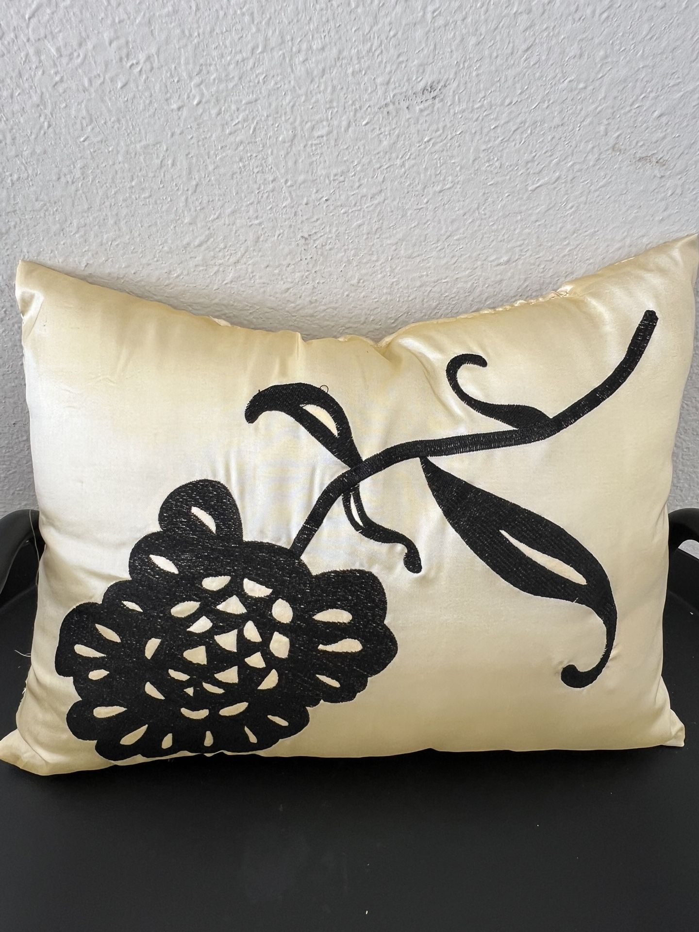 Designer Pillow Set