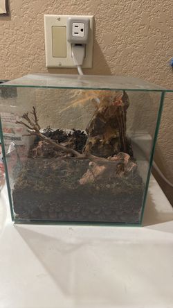 Top Fin 3 Gallon Terrarium