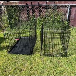 Dog Crates 