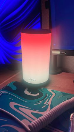 Govee Table Light