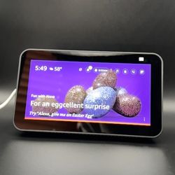 Amazon Echo & Blink bundle
