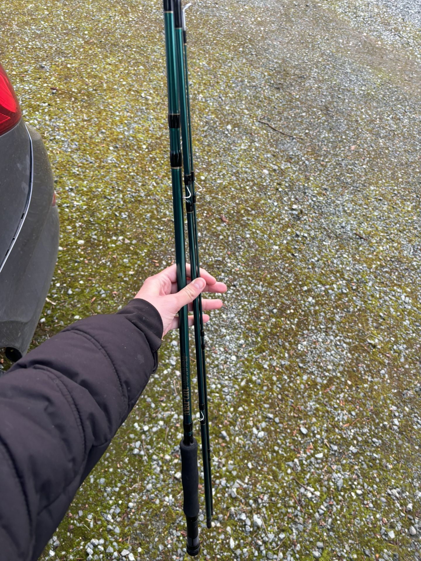 Beginner Fly Fishing Pole 