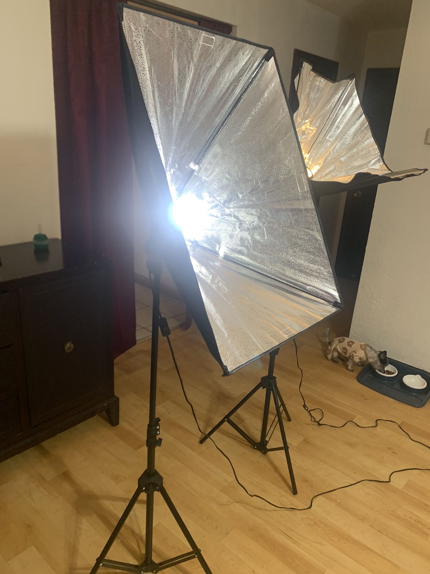 Set Of Professional Studio Lights