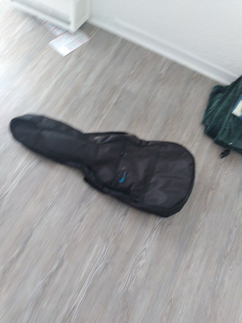 Guitar Case 