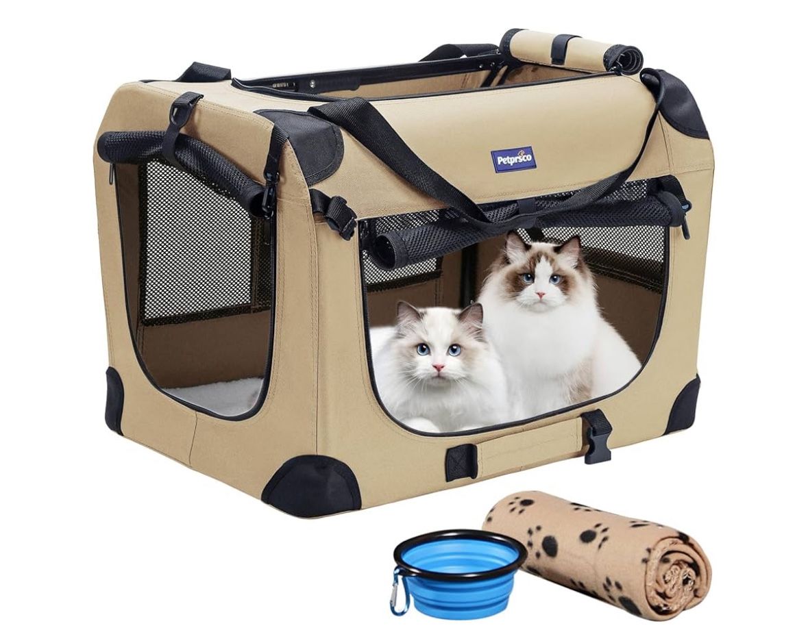 Travel Dog Create