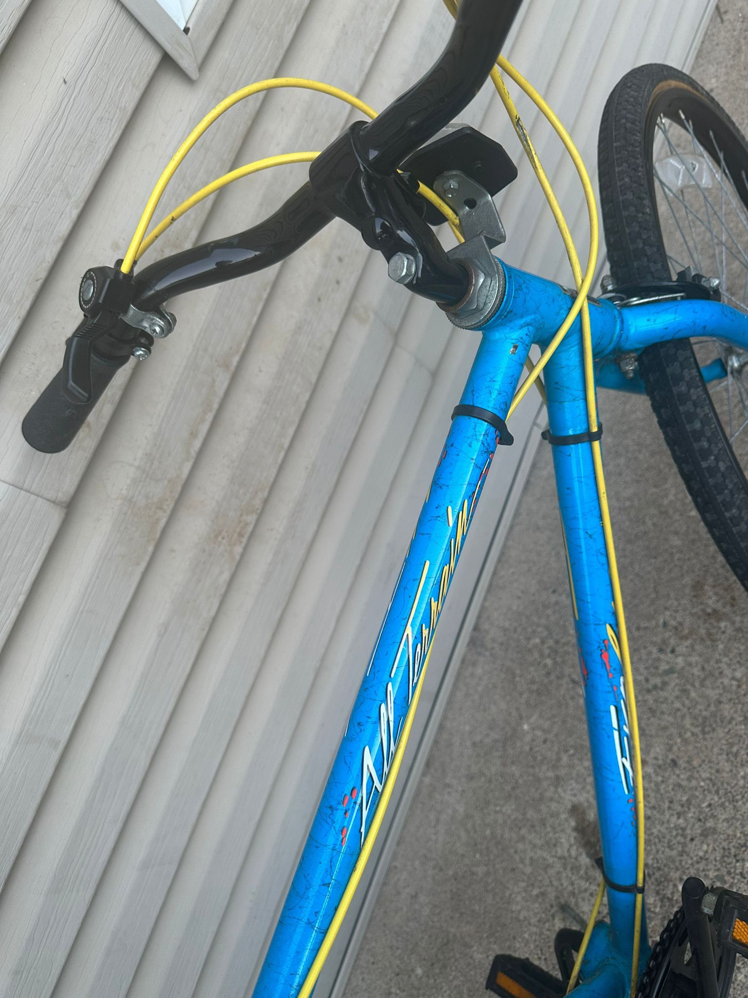 Adult 10 Speed Bike