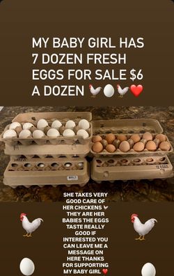 Fresh Eggs For Sale (SELLING AS DOZENS)