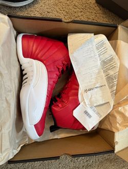 Air Jordan 12