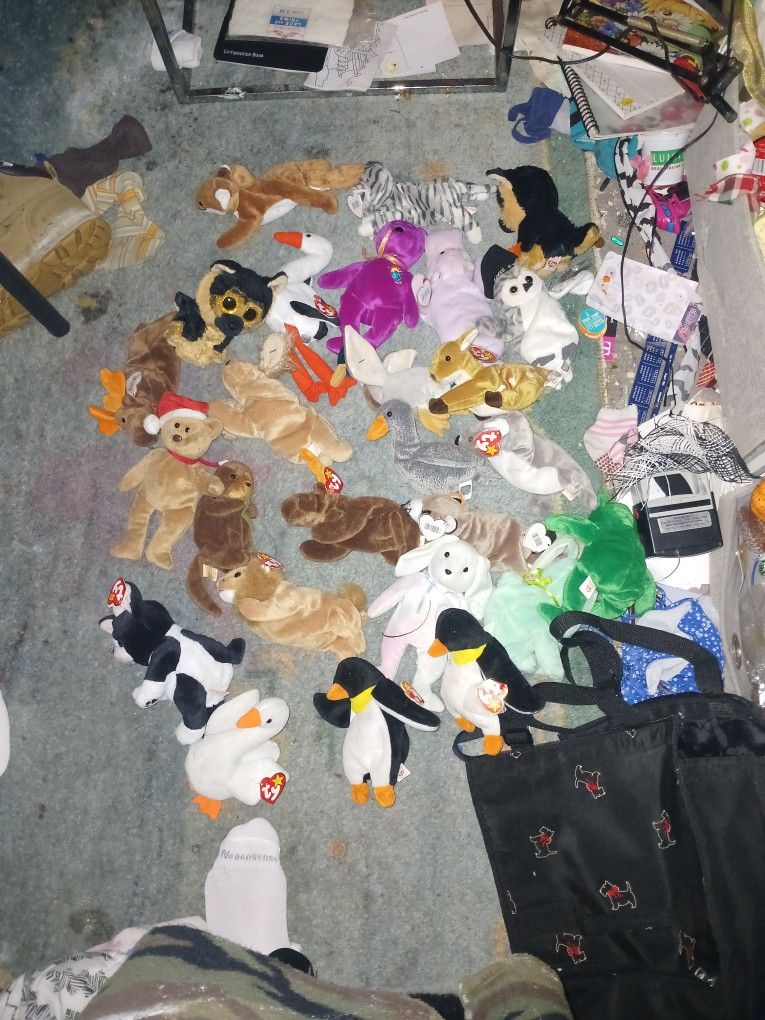 Beany baby collection