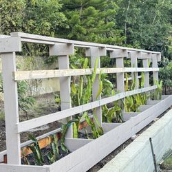 🌿 RedGold Dragon Plants – Premium Trellis System for Dragon Fruit 🌿