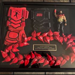 WWE ROMAN REIGNS CUSTOM GLOVE SHADOWBOX DISPLAY