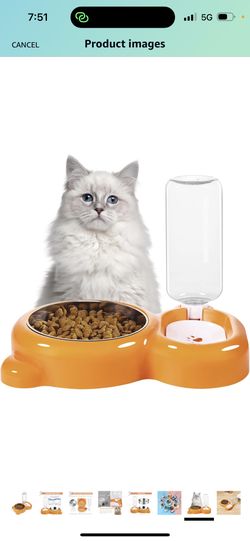 pet food bowl