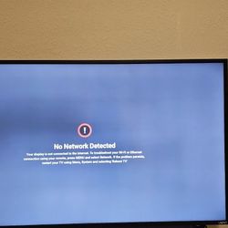 49" Vizio TV 