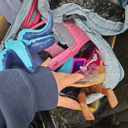 Free Bag Of Girls Toys