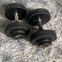 50 Ibs Dumbbells 