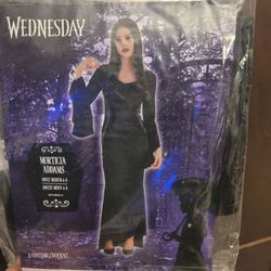 Wednesday Costume