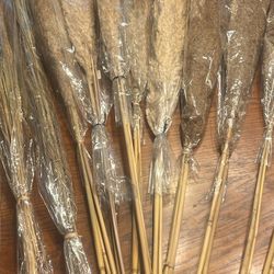 Pampas Grass Dried Flowers Hay 
