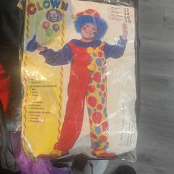 Halloween Costume (Clown) 