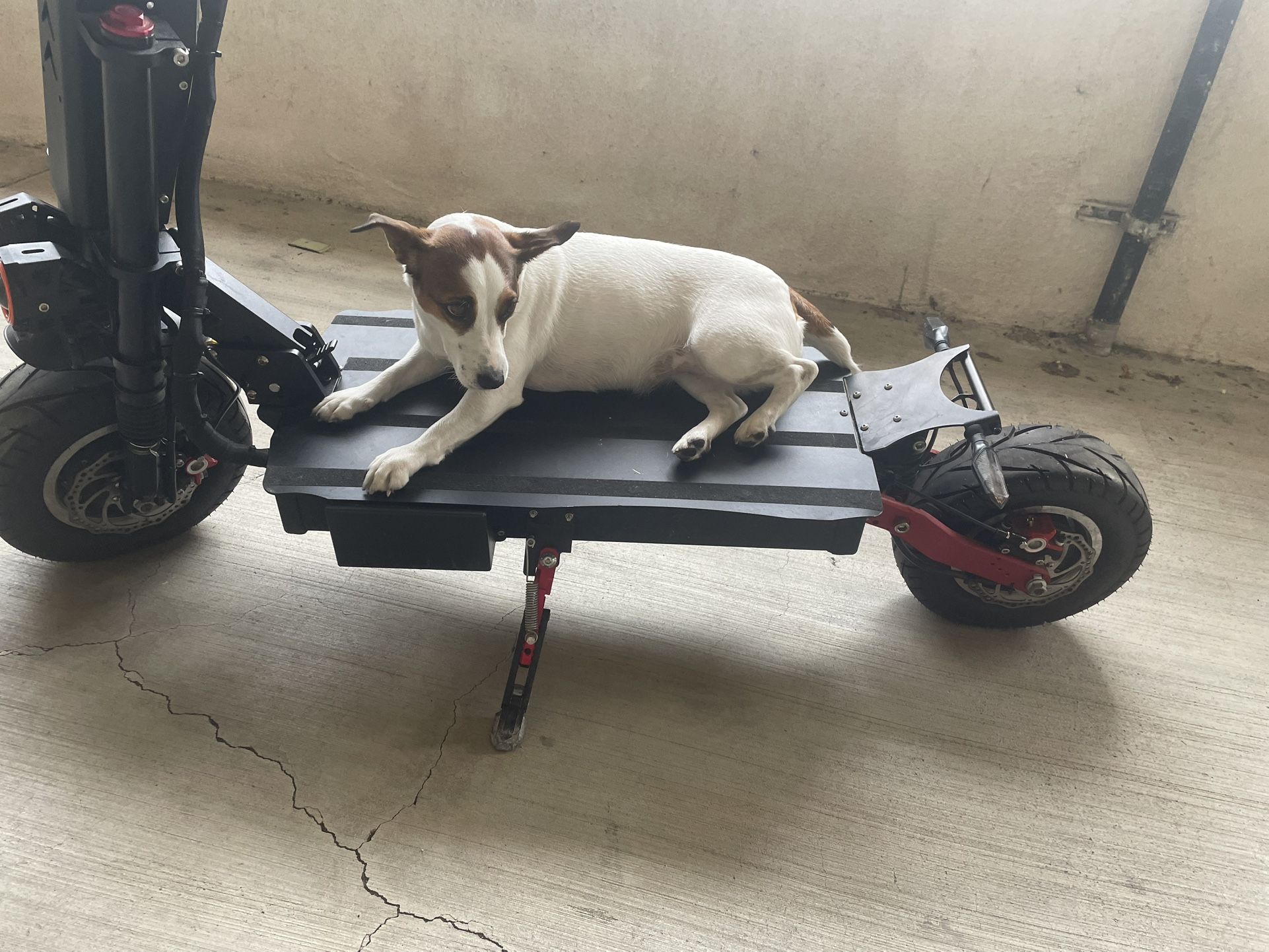 Scooter
