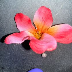 Handcrafted Original Hair Clip