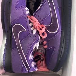 Purple Lobster Sb 
