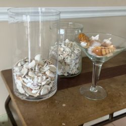 Glass Vases Filled With Shells