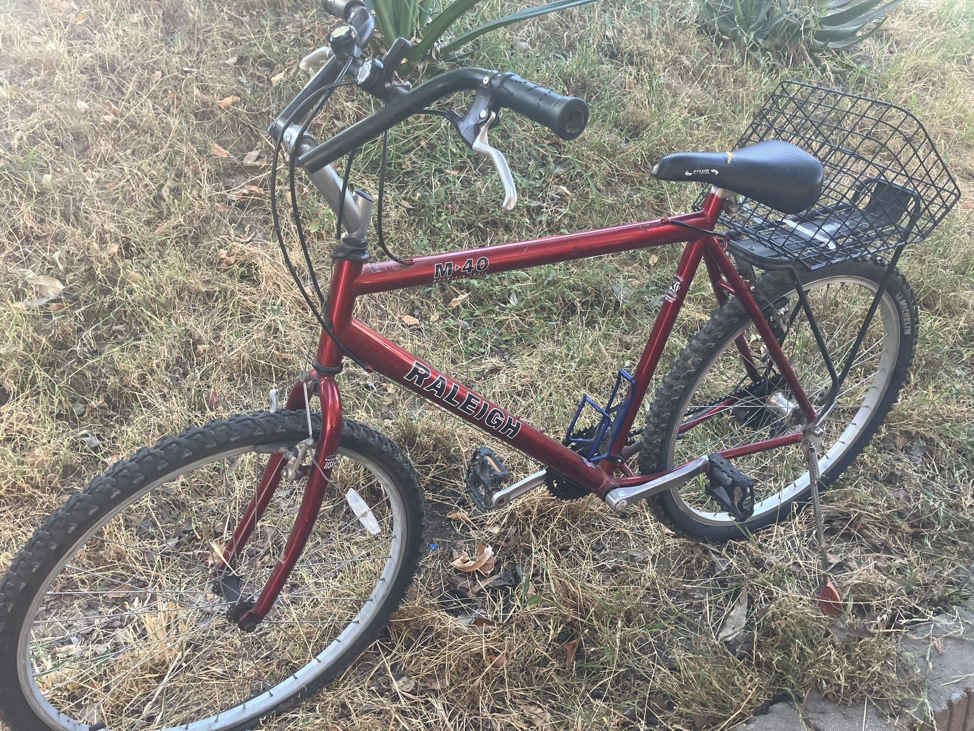 Mountain Bike