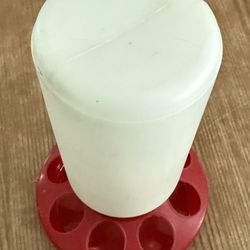 Small Bird Feeder Chicken Feeder