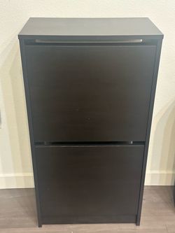 Black 2-Tier Flip-Door Shoe Cabinet