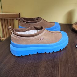 Mens Uggs Tasman Shoe Size 12