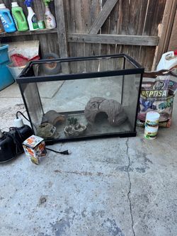 Glass Reptile Terrarium Tank Set