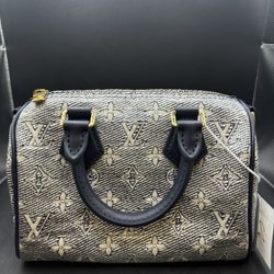 Louis Vuitton Mini 