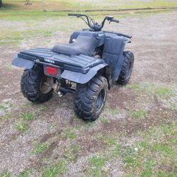 Yamaha Bear Tracker 250 4x4 