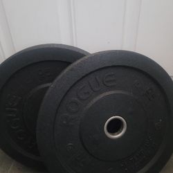 rogue 10lbs bumper Weights