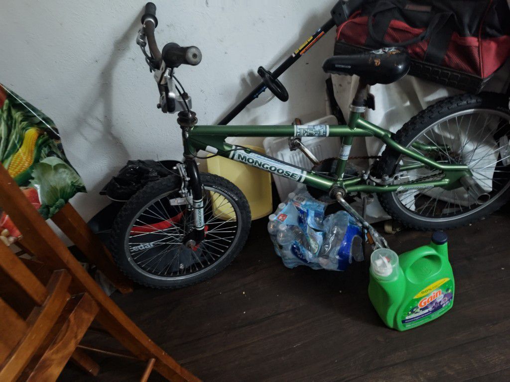 Update Red Mountain Bike Is Sold Only Have The Green One For Sale A Dmx Moongose Bike For Sale