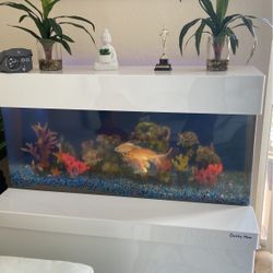 Aquarium