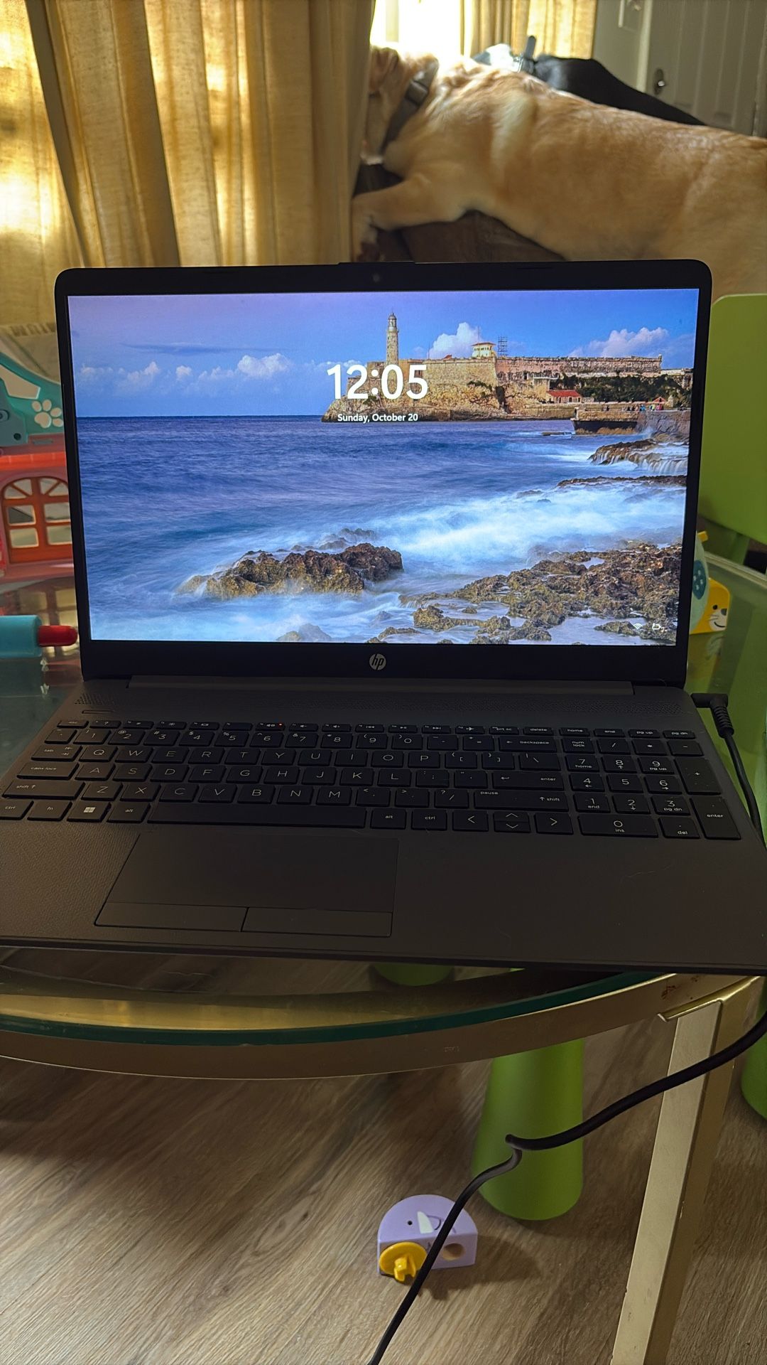 hp Notebook Laptop