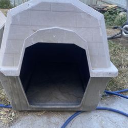 Dog House 