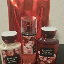 Japanese Cherry Blossom 🌸 