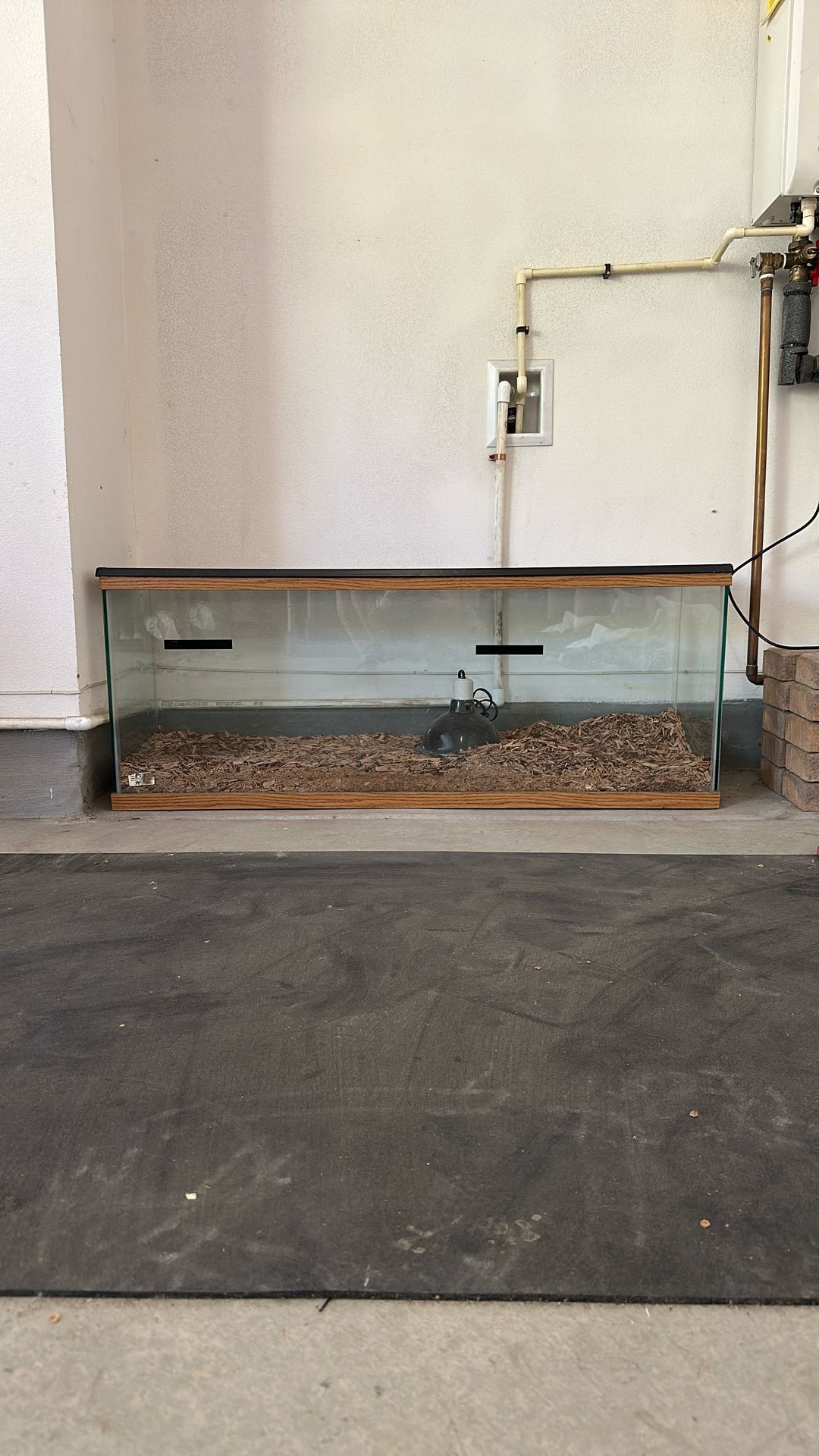 Reptile Tank