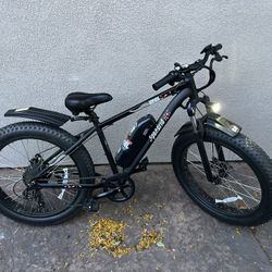 Electric Bike