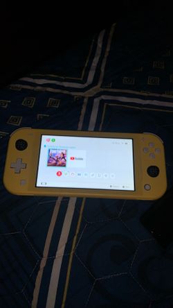 Nintendo switch lite