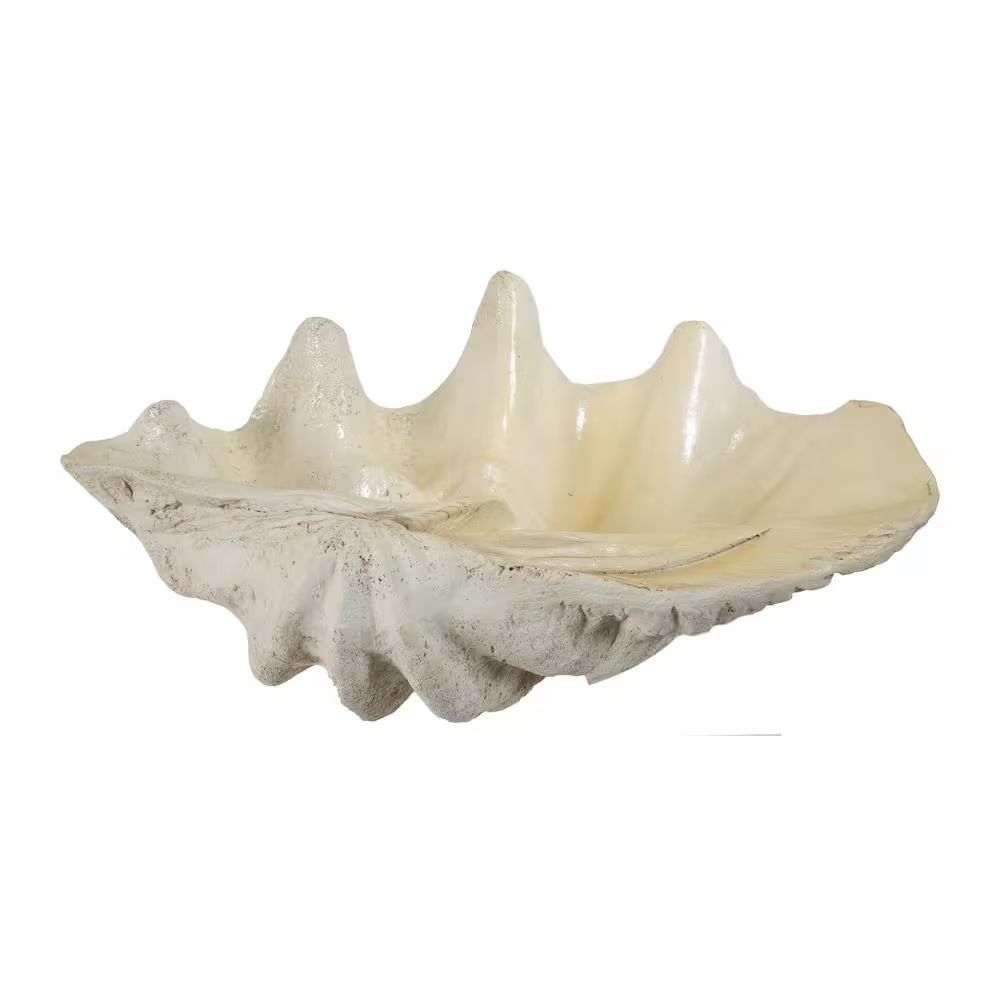 Giant clam shell, Natural