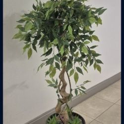 *** NEW LOW PRICE *** 54" Faux Ficus Tree Topped with Bohemian Rainbow Stone / Succulent Greenery in a 12" Resin Planter @ Lasting Creations