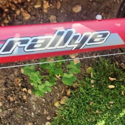 Rallye Bike