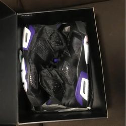 Jordan 6 social Status Size 14