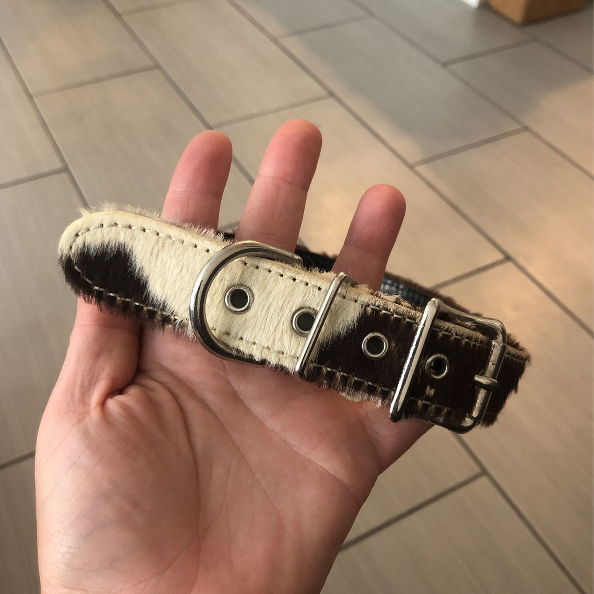 Cow Hide Dog Collar