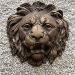 Lion’s Face